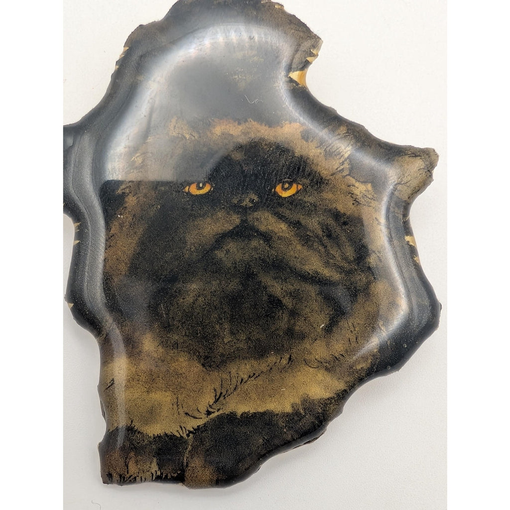Vintage MB Designs Signed Whiskers Black Persian Cat Resin Brooch Pin Hand Painted USA