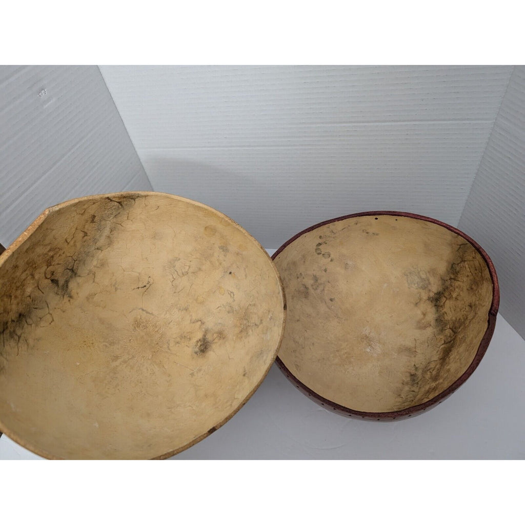 Very Large Native American Hand Painted Gourd Feathers And Buffalo Design