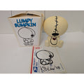 Lumpy Bumpkin Designer Vinyl Toy Kidlew 2008 Signed with Original Box and Sticker